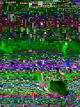 jayc23 online show from 05-23-26, 10:09