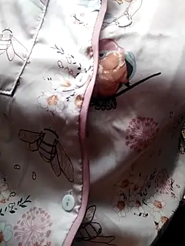 Snapshot of giahan1 chatting on 04-10-26, 12:50 giahan1 online show from 04-10-26, 12:50