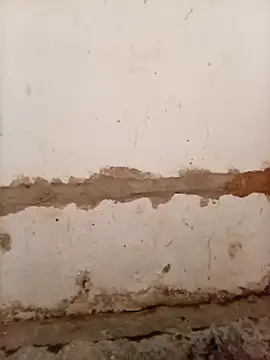 Nkazimulz online show from 04-09-26, 01:28