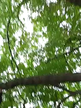 Snapshot of keyott chatting on 05-17-26, 03:56 keyott online show from 05-17-26, 03:56