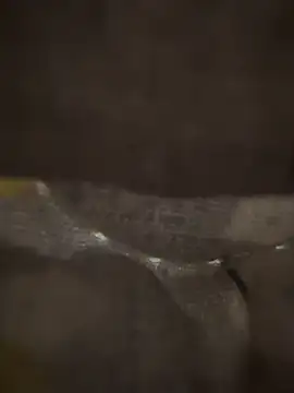 Snapshot of xezie chatting on 04-10-26, 10:00 xezie online show from 04-10-26, 10:00