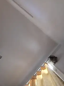 Snapshot of rathorejii chatting on 04-14-26, 05:56 rathorejii online show from 04-14-26, 05:56