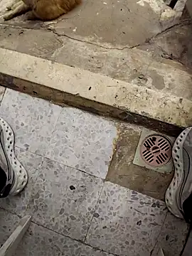 SwoppedEyedrop online show from 04-15-26, 11:05