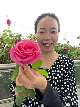 fafade2588 online show from 04-14-26, 08:30