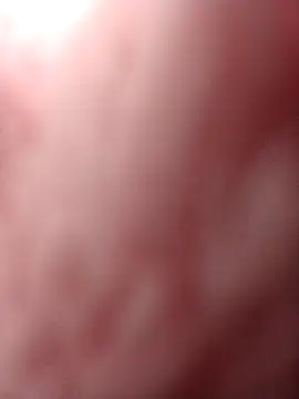 Flora Ambeers online show from 04-15-26, 06:52