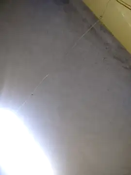 maicol6699 online show from 04-15-26, 11:38