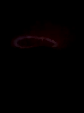 teluguabbai4567 online show from 04-21-26, 11:55