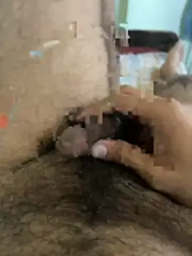 warm milk69 online show from 04-19-26, 04:02