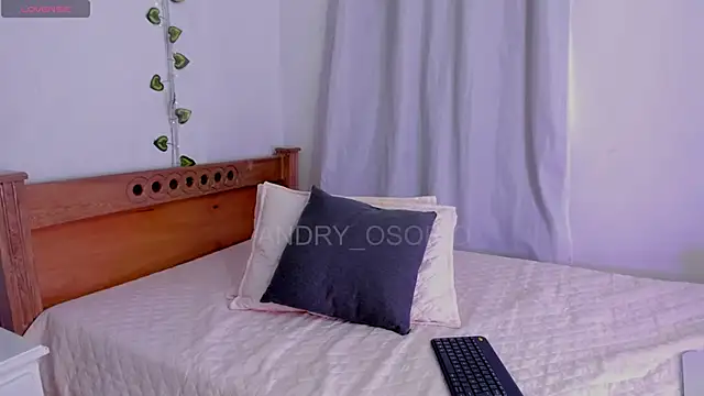 ANDRY OSORIO online show from 04-19-26, 12:50