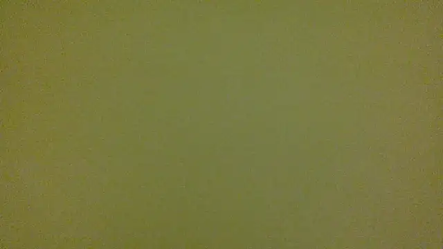 Snapshot of average_jack chatting on 04-16-26, 11:29 average jack online show from 04-16-26, 11:29