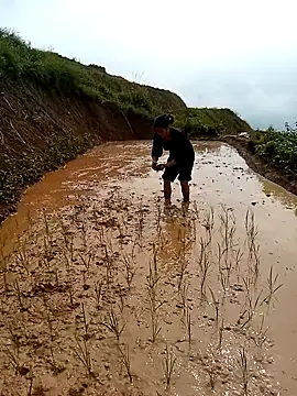 LucyBri01 online show from 04-18-26, 02:03