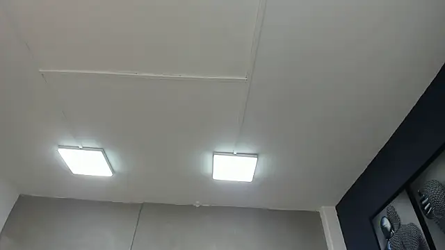 Charlie   Musk online show from 06-19-26, 11:27