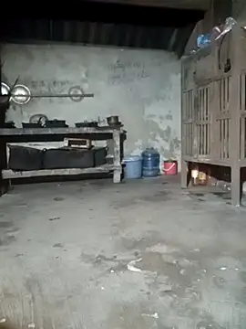 Snapshot of phuongtrinh1 chatting on 06-21-26, 01:39 phuongtrinh1 online show from 06-21-26, 01:39
