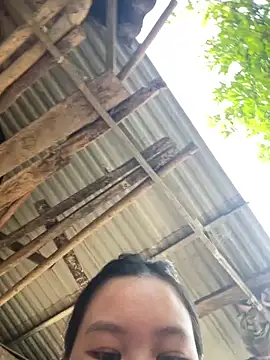 Swan 69 online show from 04-21-26, 10:00