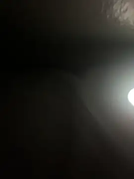 DICK5016 online show from 04-21-26, 01:50