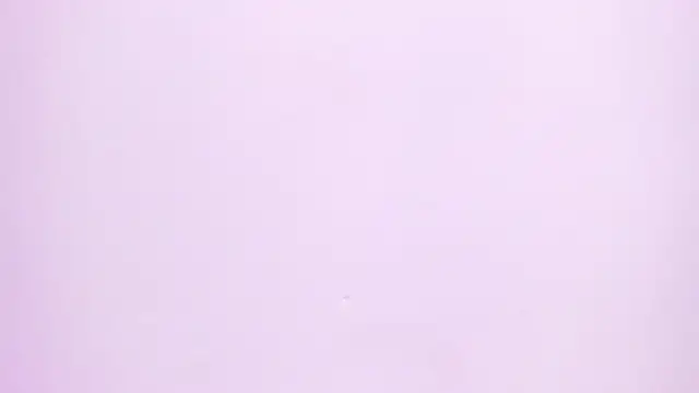 Snapshot of Natasha028_ chatting on 06-02-26, 11:32 Natasha028 online show from 06-02-26, 11:32