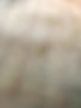 Sanjaykumarsaini online show from 04-22-26, 07:15