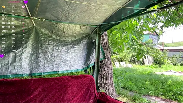AlberthaBudd online show from 06-17-26, 05:51