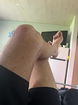 Wolf 18cm online show from 04-26-26, 12:35