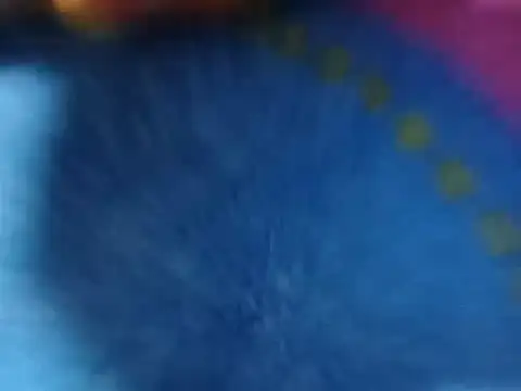 adriyelkins6912 online show from 07-26-26, 02:29