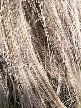 Snapshot of erikthor chatting on 06-26-26, 08:14 erikthor online show from 06-26-26, 08:14