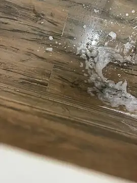 bfs130 online show from 04-29-26, 10:27