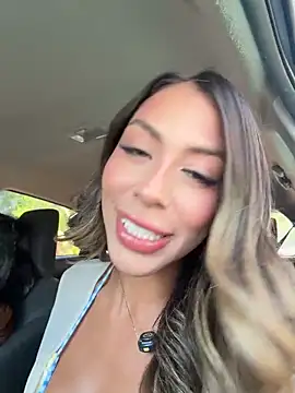 Palmer   online show from 07-17-26, 03:31
