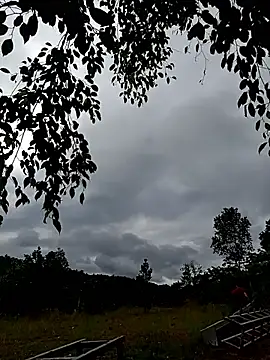 Snapshot of Jinli_01 chatting on 06-11-26, 08:33 Jinli 01 online show from 06-11-26, 08:33