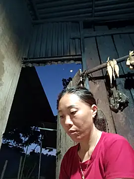 Snapshot of Jinli_01 chatting on 05-20-26, 12:13 Jinli 01 online show from 05-20-26, 12:13