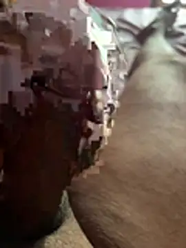 mrparfectgoregoan online show from 05-15-26, 07:50