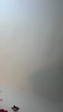Snapshot of Eilicarver chatting on 07-04-26, 12:43 Eilicarver online show from 07-04-26, 12:43
