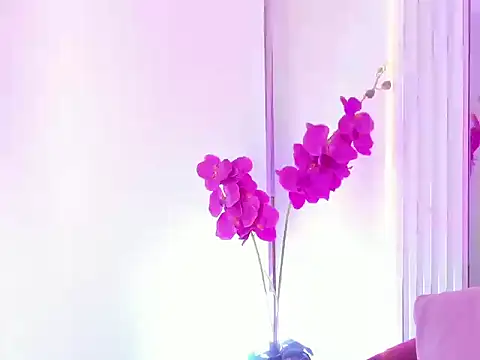 Snapshot of DannyRoudX chatting on 06-21-26, 03:45 DannyRoudX online show from 06-21-26, 03:45