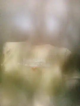 Snapshot of _Nami-squirt chatting on 07-14-26, 11:38 Nami-squirt online show from 07-14-26, 11:38