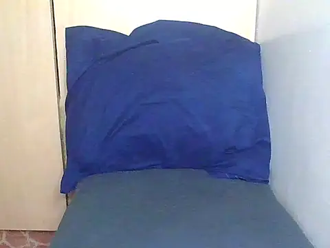 Snapshot of joyvall01 chatting on 05-20-26, 11:51 joyvall01 online show from 05-20-26, 11:51