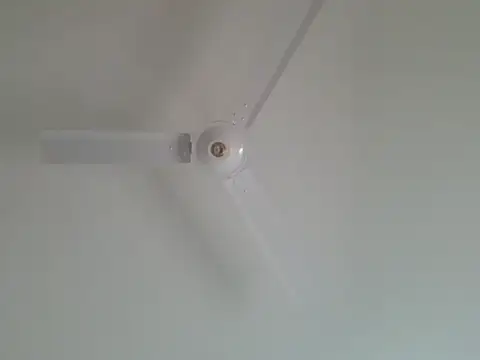 Snapshot of GoldenZuri chatting on 06-17-26, 12:04 GoldenZuri online show from 06-17-26, 12:04