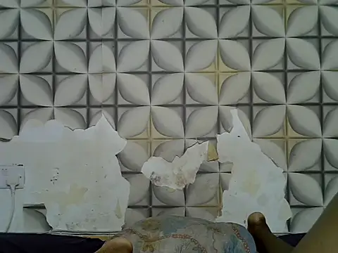 fine grap online show from 06-30-26, 12:05