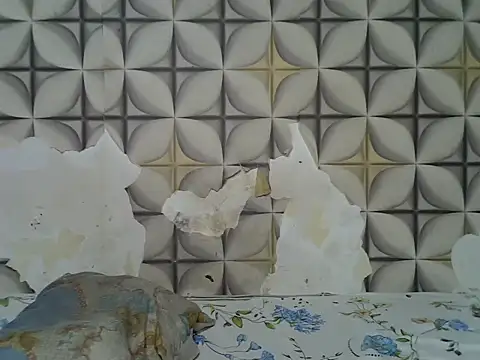 fine grap online show from 07-07-26, 05:05