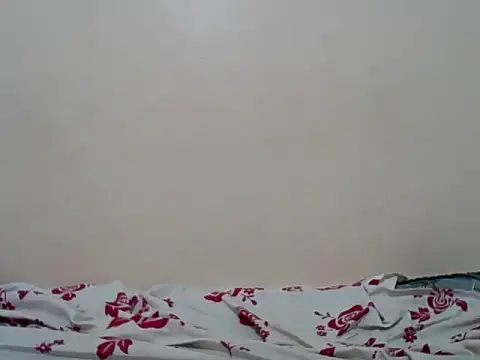 Snapshot of Hornysmoker20 chatting on 07-07-26, 06:47 Hornysmoker20 online show from 07-07-26, 06:47