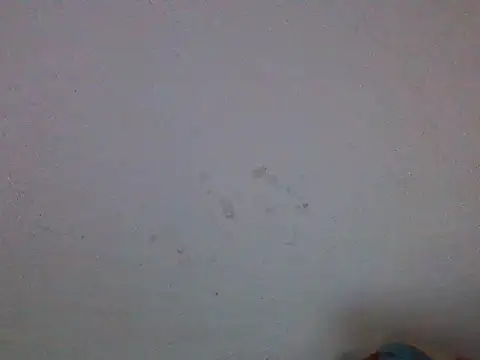 Snapshot of mamapussy003 chatting on 05-19-26, 05:09 mamapussy003 online show from 05-19-26, 05:09