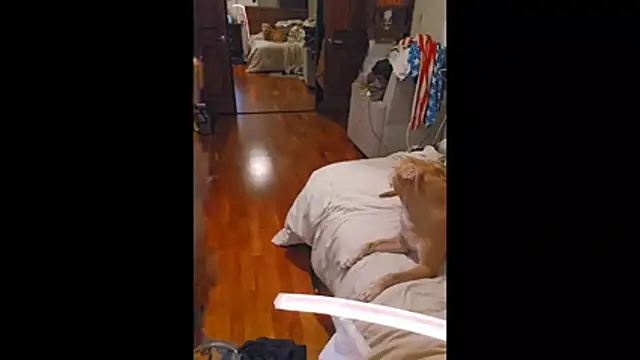 Snapshot of Clevername90 chatting on 10-26-25, 01:50 Clevername90 online show from 10-26-25, 01:50