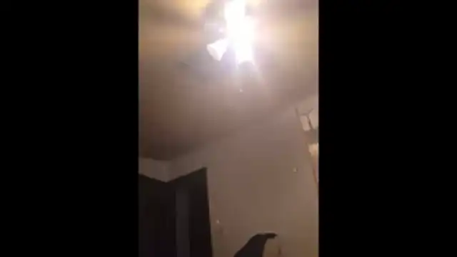 Snapshot of Clevername90 chatting on 11-25-25, 11:05 Clevername90 online show from 11-25-25, 11:05