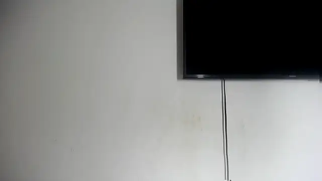 Fox Loves online show from 07-07-26, 11:30