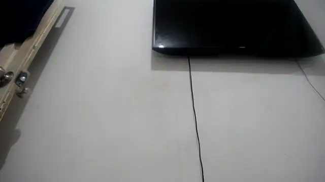 Fox Loves online show from 07-23-26, 11:00