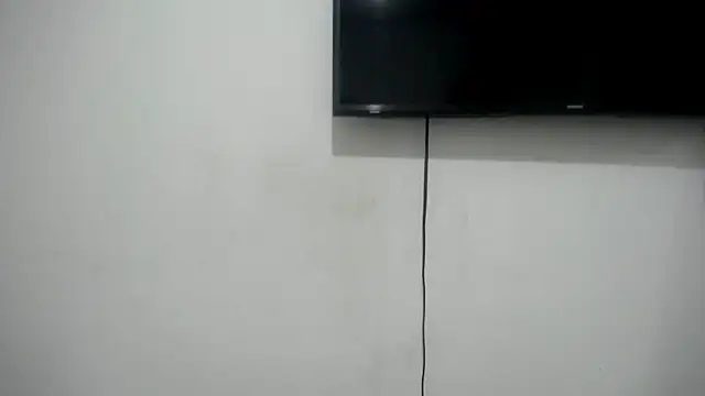 Fox Loves online show from 06-26-26, 11:21