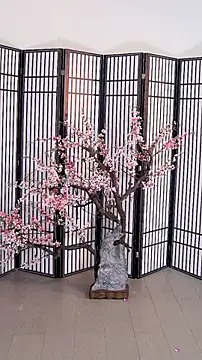 ouyanyan online show from 05-26-26, 12:14