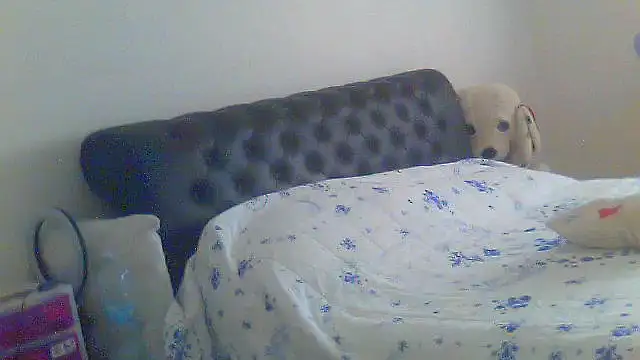 Snapshot of Alaska-perla chatting on 06-26-26, 09:15 Alaska-perla online show from 06-26-26, 09:15