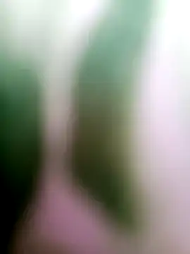 Cut means47 online show from 07-05-26, 01:54