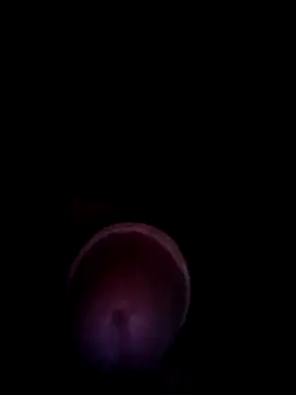 blanquito leche online show from 07-29-26, 04:44