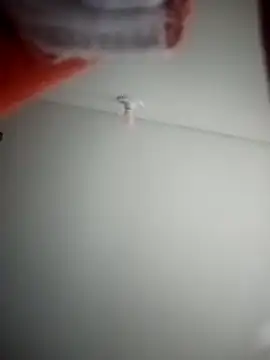 Snapshot of ANDRES_HOT-1996 chatting on 03-01-26, 04:12 ANDRES HOT-1996 online show from 03-01-26, 04:12