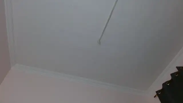 Snapshot of amara_sanchez chatting on 07-08-26, 01:01 amara sanchez online show from 07-08-26, 01:01